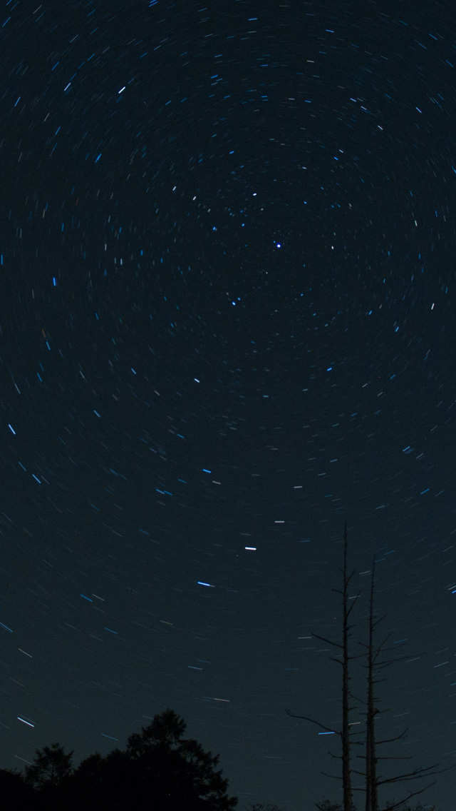 最高スマホ 壁紙 星空 無料 すべての美しい花の画像