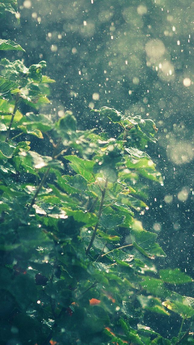 してはいけません と遊ぶ 寝室を掃除する スマホ 壁紙 梅雨 しっとり 無限 スロット