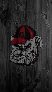 Georgia BullDogs