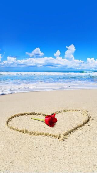 【159位】砂浜に薔薇の花|ハートのiPhone壁紙