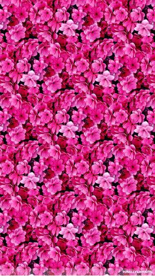人気72位 ピンク色の花 スマホ壁紙 Iphone待受画像ギャラリー