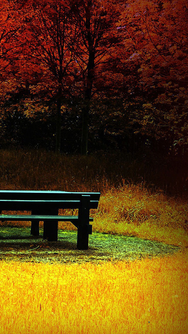 秋の公園のベンチ スマホ壁紙 Iphone待受画像ギャラリー