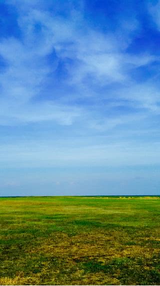 草原と青空