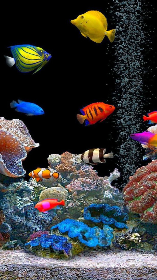 綺麗な水族館のiphone壁紙 スマホ壁紙 Iphone待受画像ギャラリー