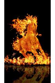 iPhone壁紙flaming horse ipho…