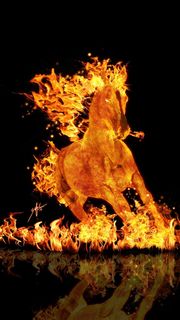 iPhone壁紙flaming horse ipho…