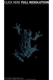 iPhone壁紙Frog iPhone 5 Wall…