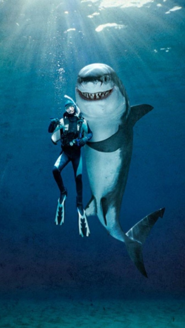 面白いサメの写真 スマホ壁紙 Iphone待受画像ギャラリー