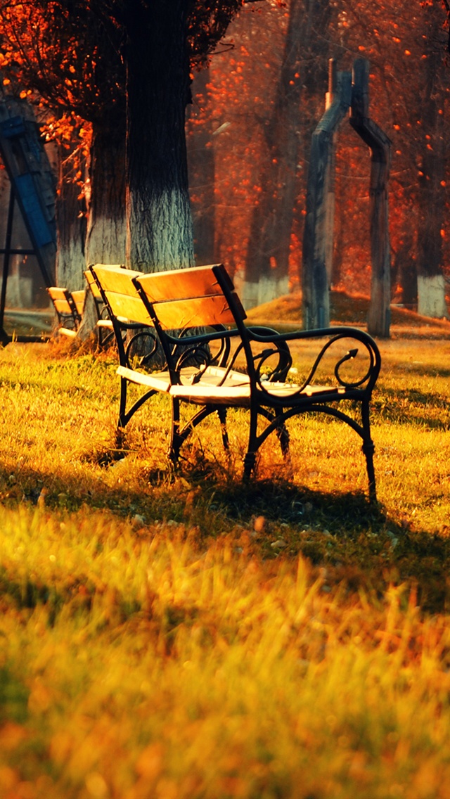 黄金の秋の公園 芝生 ベンチ 日光 Iphoneの壁紙 640x1136 Iphone