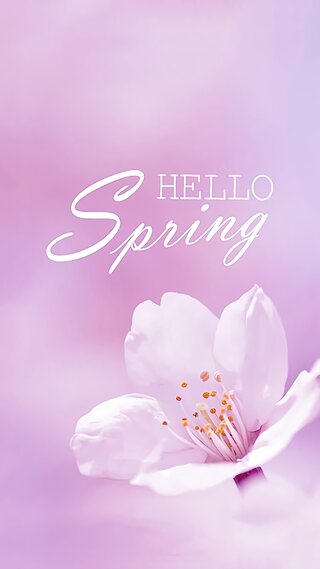 【145位】Hello Spring