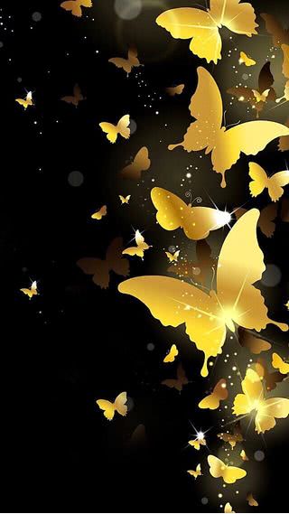 【291位】金色の蝶