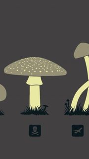 Magic Mushroom