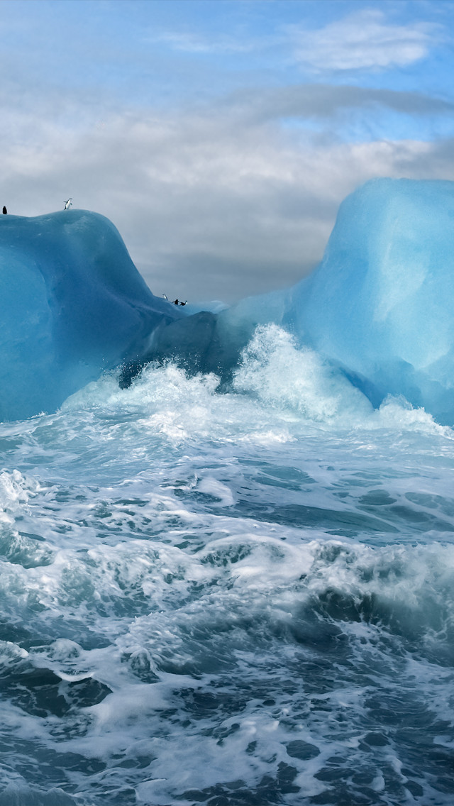 南極 遠くにペンギン スマホ壁紙 Iphone待受画像ギャラリー