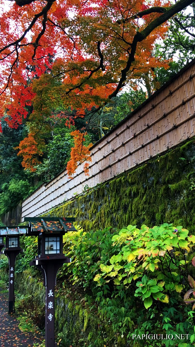 ユニーク京都 壁紙 Iphone 高画質 最高の花の画像