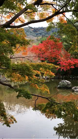 日本の秋