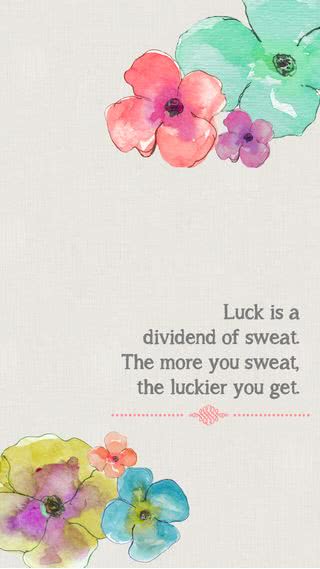 Luck is a dividend of sweat.