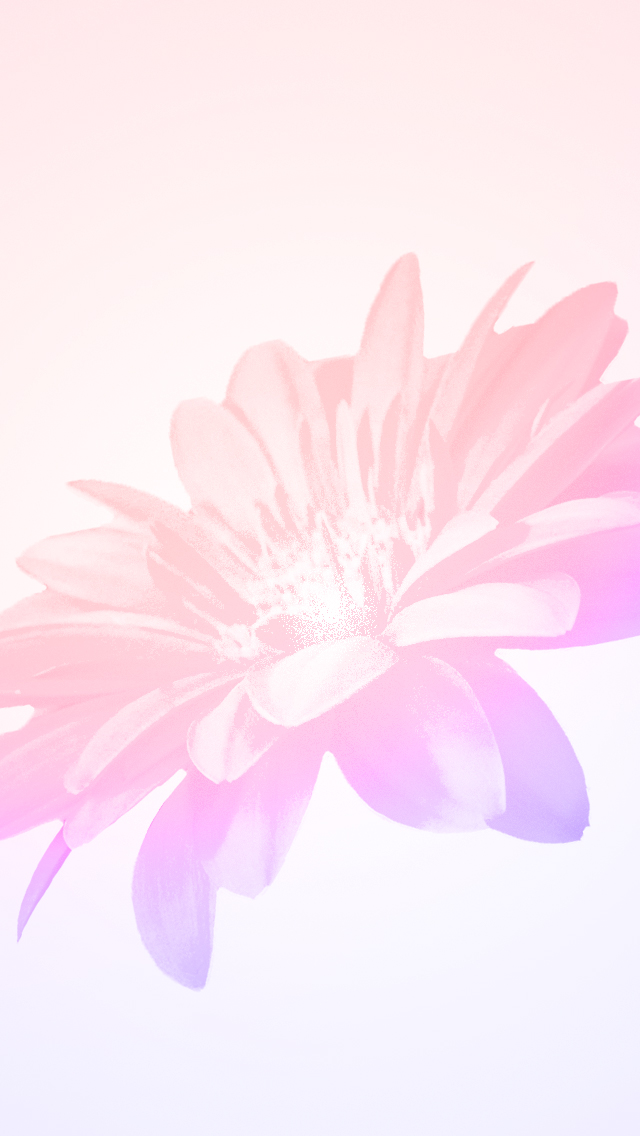 シンプルな花のイラスト スマホ壁紙 Iphone待受画像ギャラリー