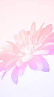 水彩系の花柄 スマホ壁紙 Iphone待受画像ギャラリー