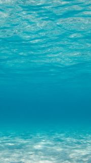 壁紙 海 の 中 画像 高 画質 ソトウォール