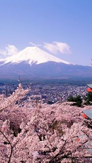 【288位】富士山