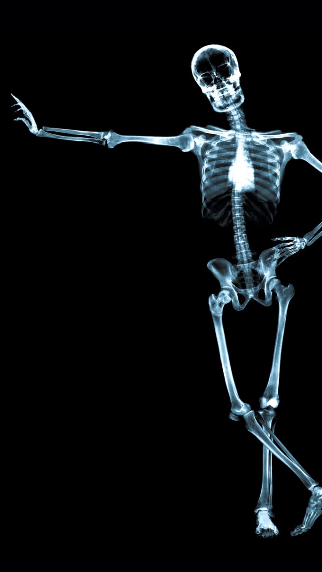  X Ray  Skeleton iPhone  5 Wallpaper   iPhone  