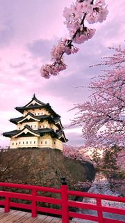 城と桜