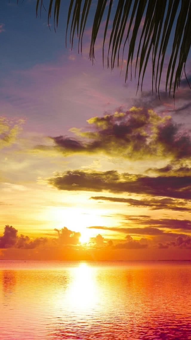 最高iphone 壁紙 海 夕焼け すべての美しい花の画像
