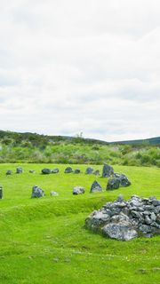 アイルランドの草原