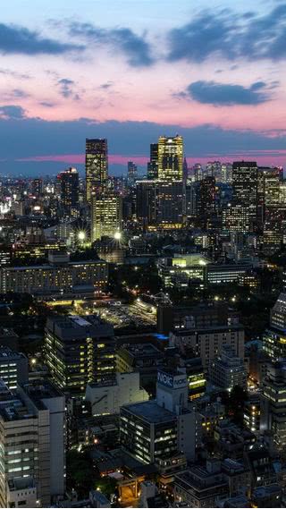 東京の夜景