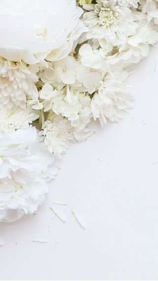 【4位】純白の花