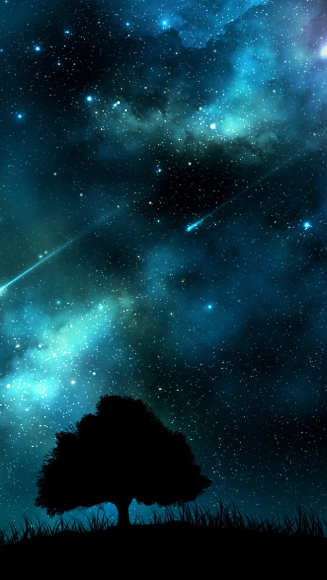 Meteor Shower At Night Blue Sky Trees Silhouette 640x1136 Iphone 5 Wallpaper 66f4b2533ece579a3ebb07a2cc0f4dbe Raw Jpg 640 1136 星 壁紙 綺麗 景色 壁紙