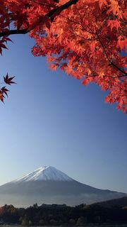 【111位】秋の富士山