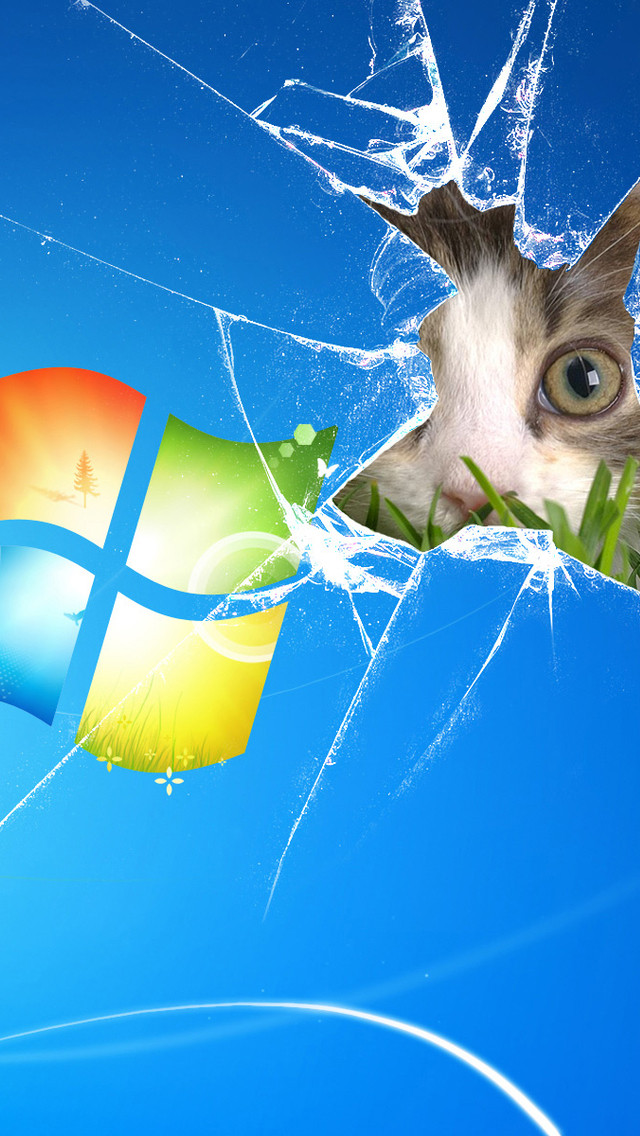 厳 啓発する かもめ Windows7 壁紙 猫 Gyakujo Jp