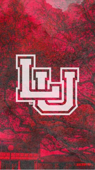 Lamar University