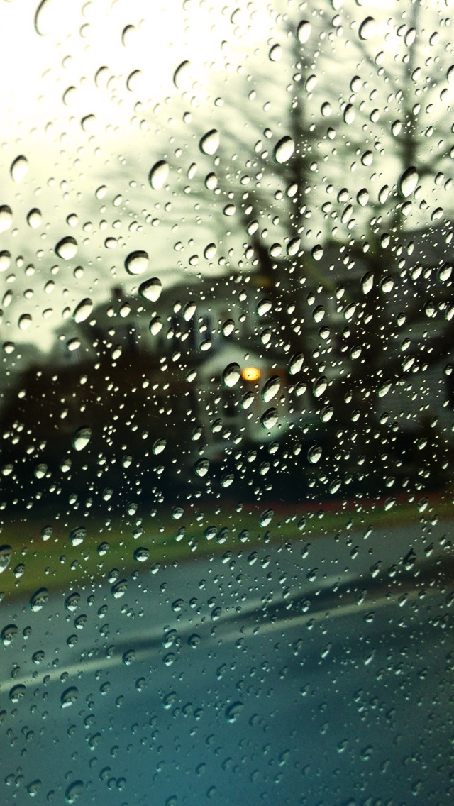 おしゃれ Iphone 壁紙 雨 ただ素晴らしい花