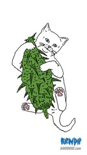 Lord Nermal Ripndip スマホ壁紙 Iphone待受画像ギャラリー