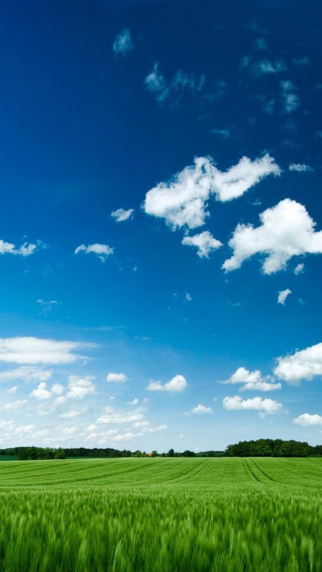 青い空と草原 スマホ壁紙 Iphone待受画像ギャラリー