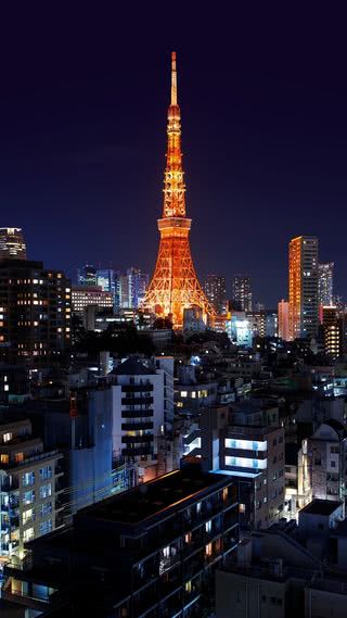 【新着5位】東京タワーの夜景