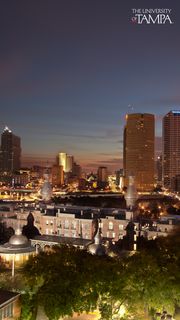 The University of Tampa