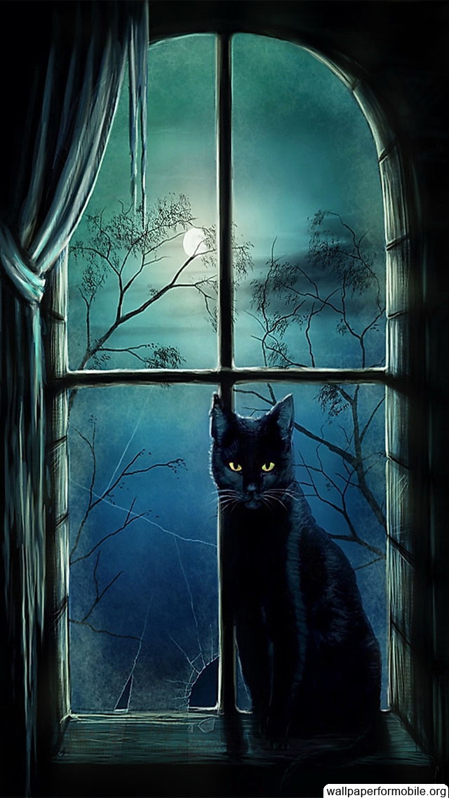 月夜の黒猫 スマホ壁紙 Iphone待受画像ギャラリー