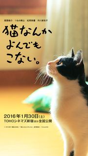 猫なんかよんでもこない。