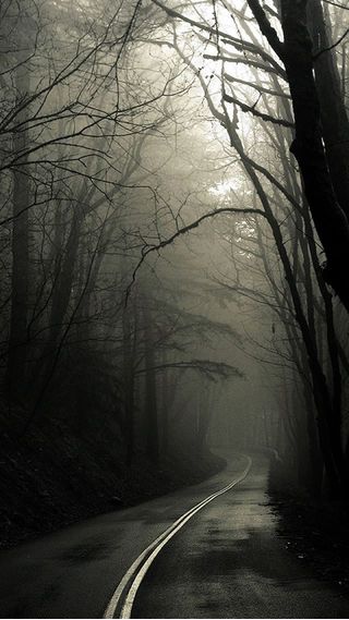 Dark Forest