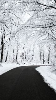 雪 道路 風景の壁紙