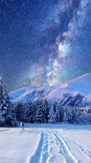 雪原の星空