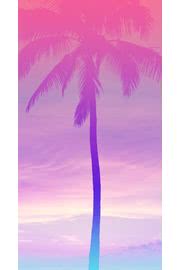 ヤシの木🌴|ヤシのiPhone壁紙