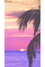 水平線に沈む夕日 | 夏のiPhone壁紙