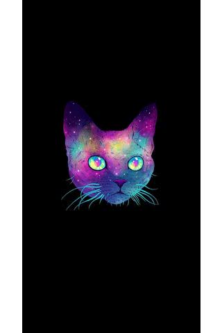 Galaxy kitten