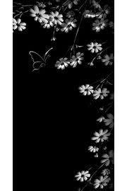 花と蝶 かっこいいモノトーンの壁紙 Iphone5s壁紙 待受画像ギャラリー