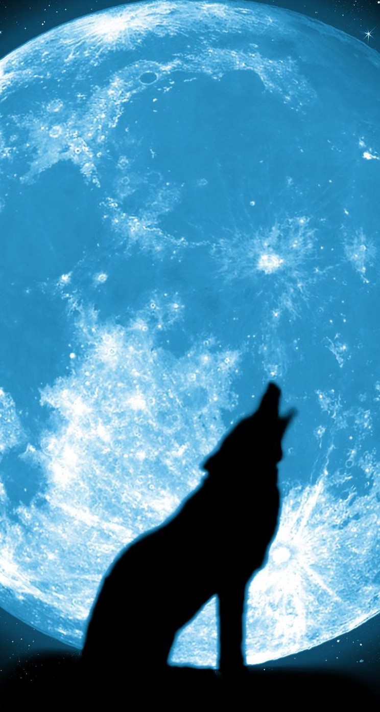 Images Of Wolf Howling At Moon Iphone Wallpaper Kootation Com Iphone5s壁紙 待受画像ギャラリー