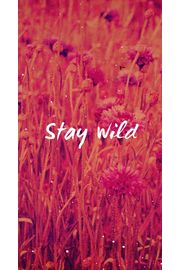 Stay wild